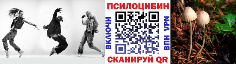 Галлюциногенные грибы мухоморы  Киселёвск 