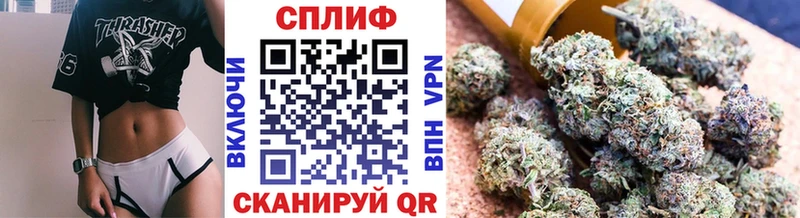 Бошки марихуана план  Киселёвск 